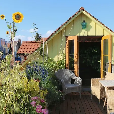 Bio-ferienwohnung Ellensohn