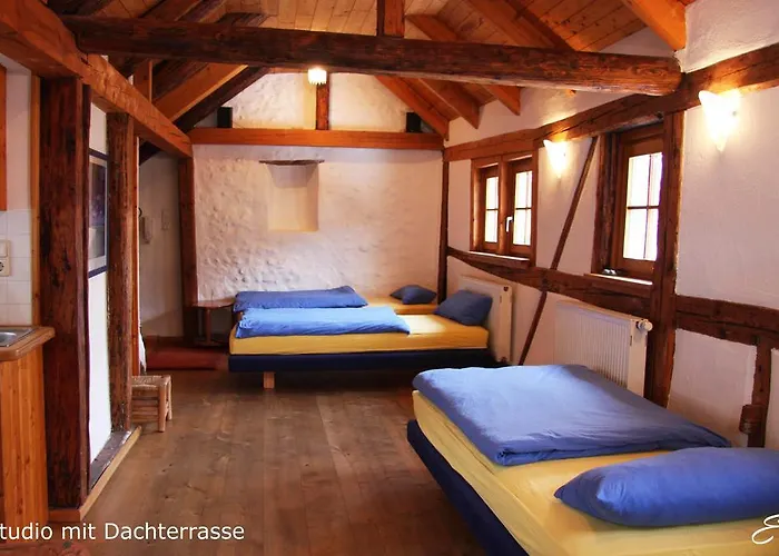 Bio-ferienwohnung Ellensohn