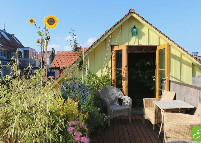 Bio-ferienwohnung Ellensohn